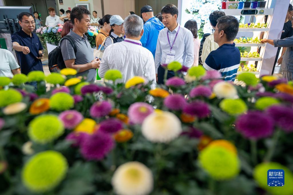 鸿运平台怎么样